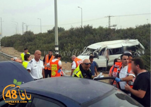 acc lud near (4).jpg